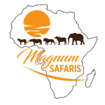 magnum safari